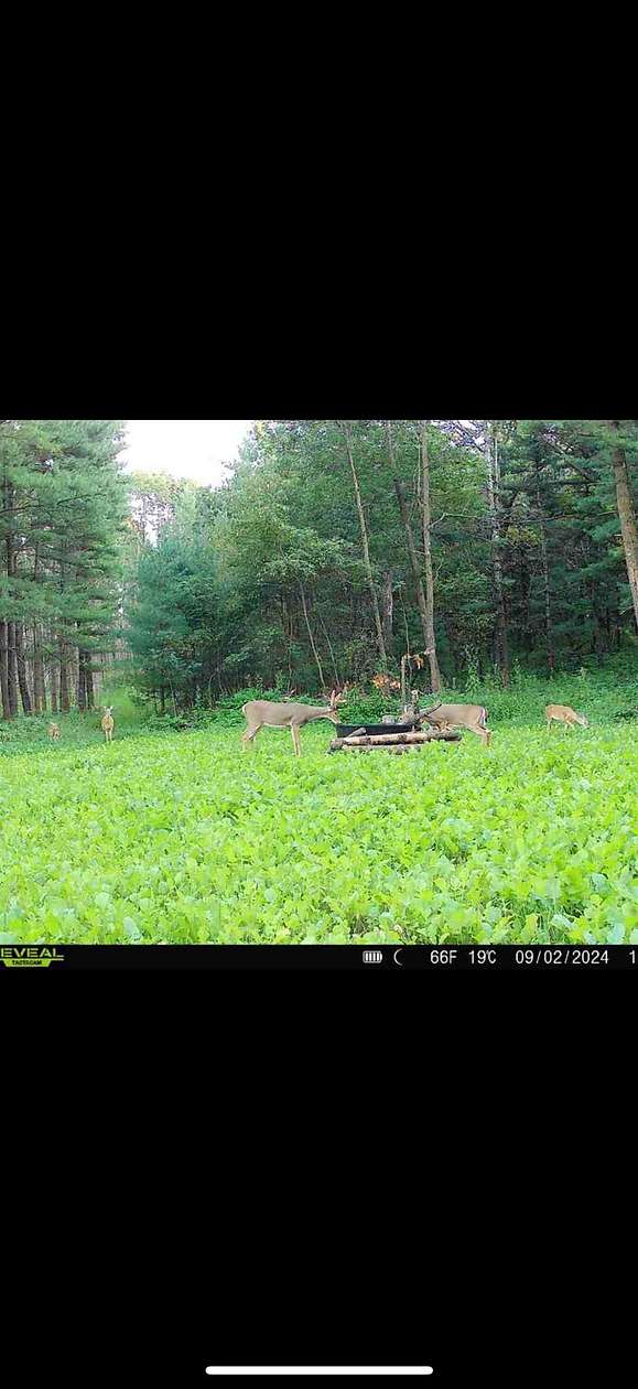 40 Acres of Recreational Land & Farm for Sale in Westfield, Wisconsin