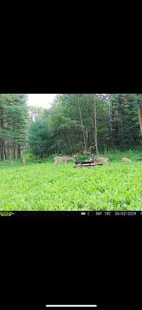 40 Acres of Recreational Land & Farm for Sale in Westfield, Wisconsin
