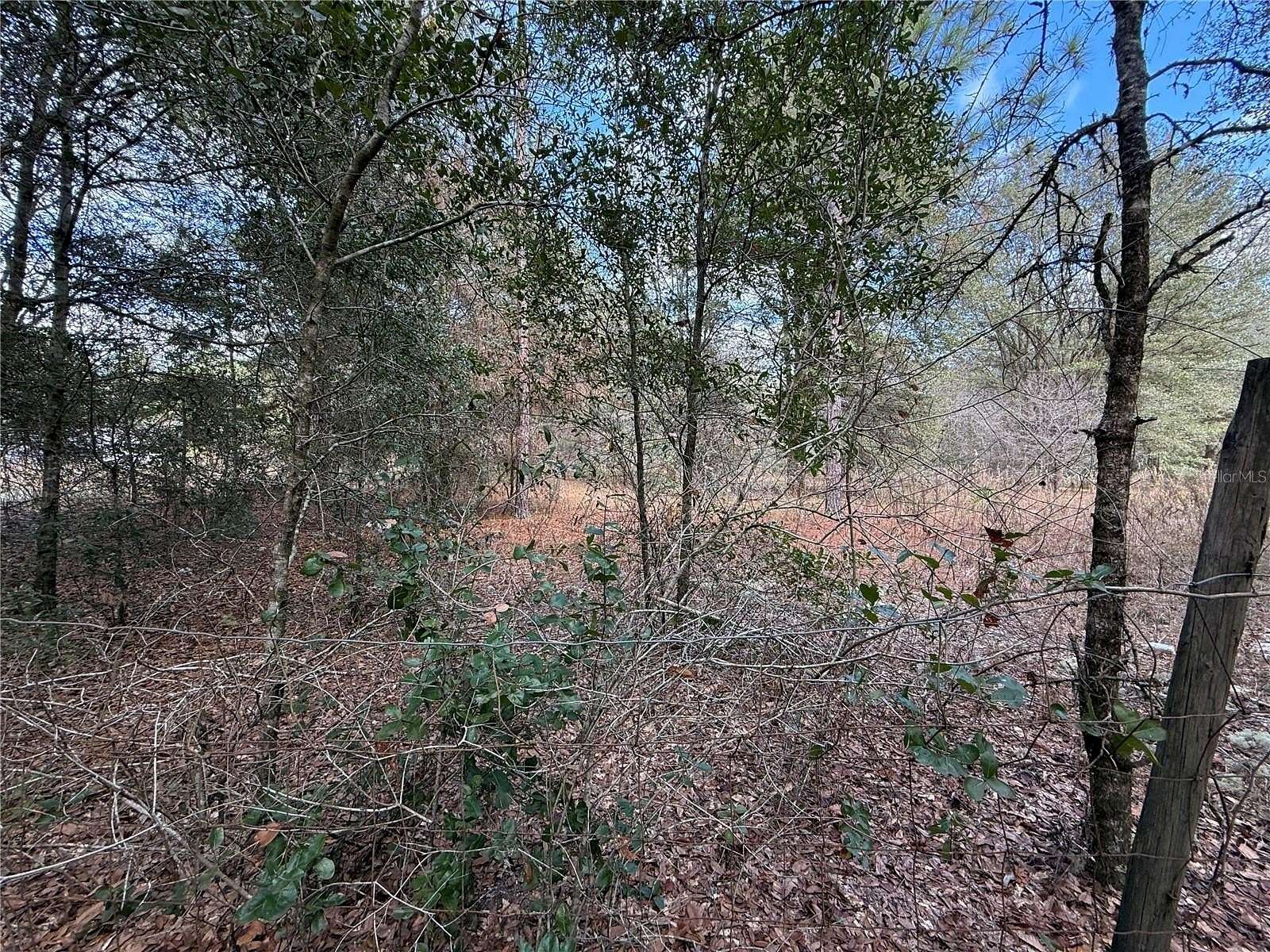 2.27 Acres of Land for Sale in Citra, Florida