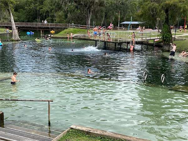 24.7 Acres of Agricultural Land for Sale in Trenton, Florida