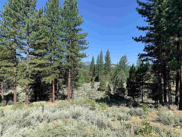 0.85 Acres of Residential Land for Sale in Portola, California