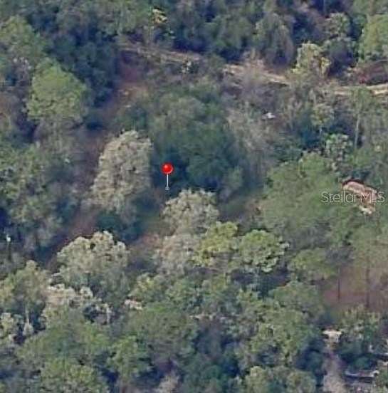 0.7 Acres of Residential Land for Sale in Ocklawaha, Florida