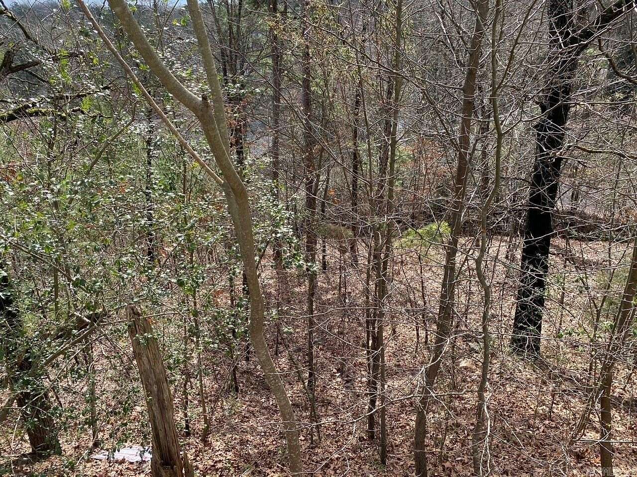 23 Acres of Recreational Land for Sale in Ash Flat, Arkansas