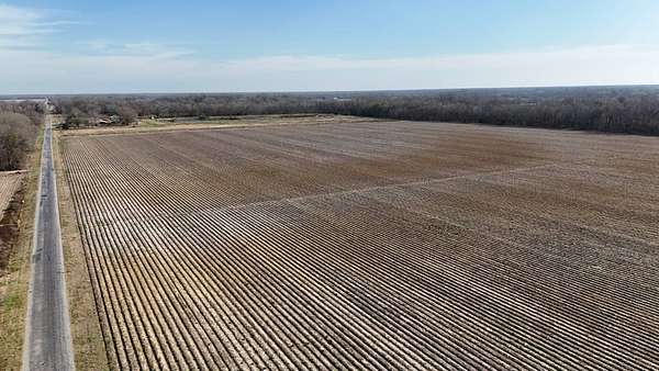 35 Acres of Agricultural Land for Sale in Rayville, Louisiana