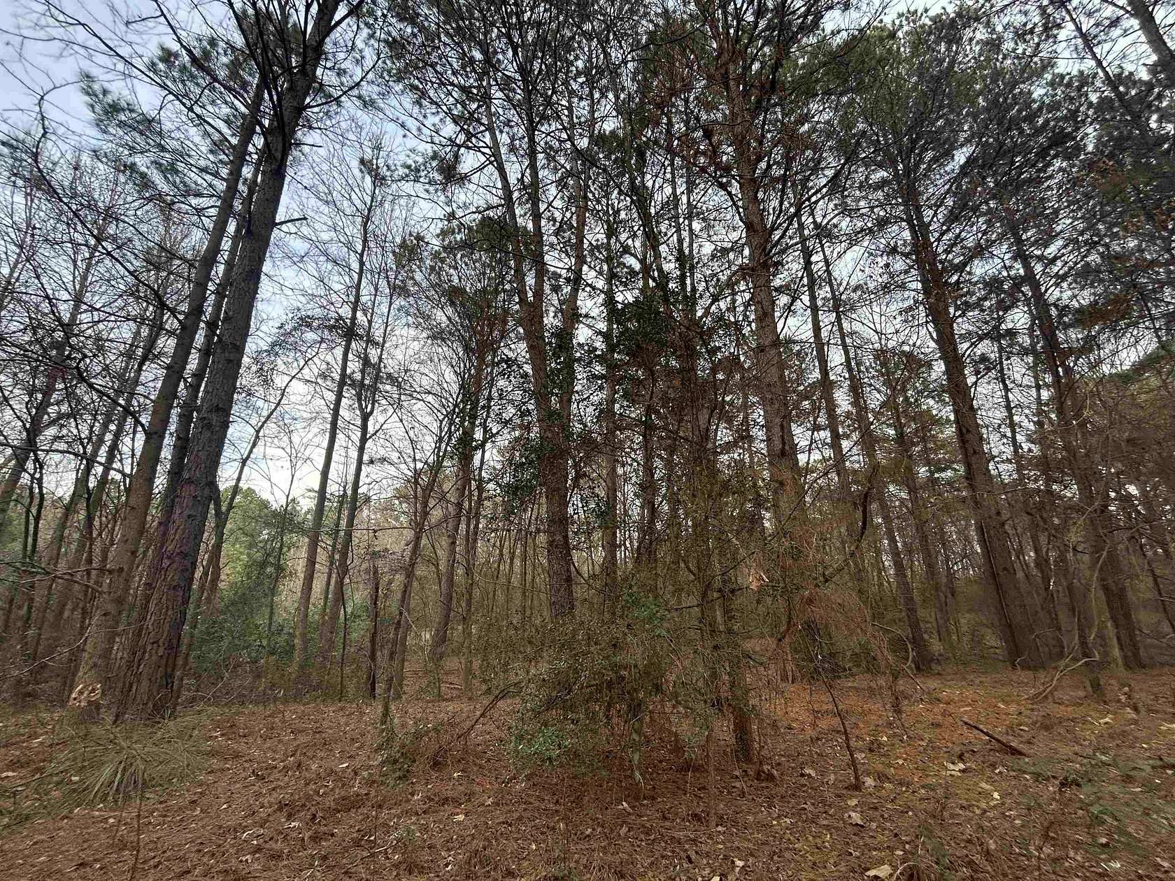 2.75 Acres of Residential Land for Sale in Big Sandy, Texas