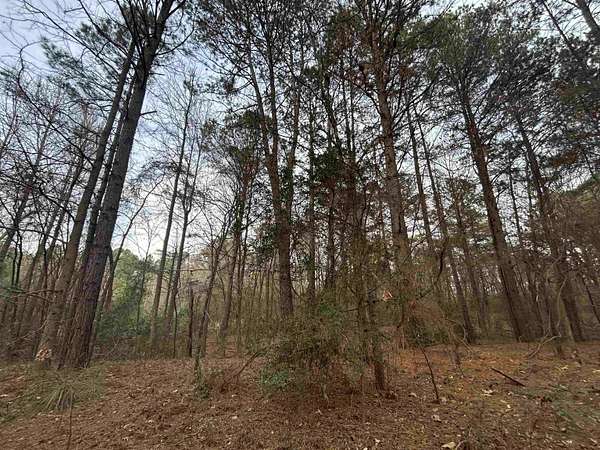 2.75 Acres of Residential Land for Sale in Big Sandy, Texas