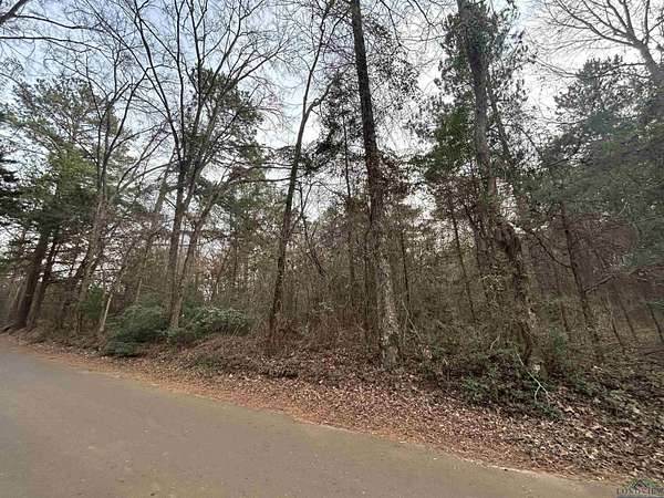 2.75 Acres of Residential Land for Sale in Big Sandy, Texas