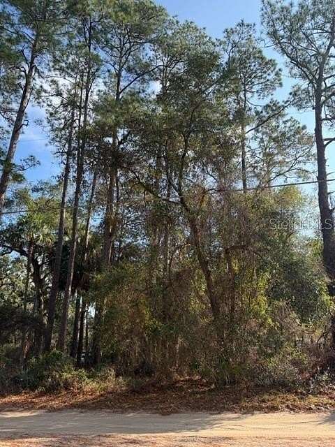 0.22 Acres of Residential Land for Sale in Fort McCoy, Florida