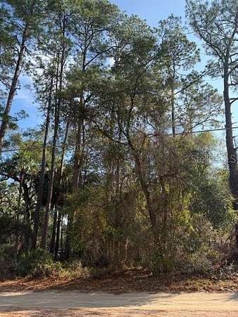 0.22 Acres of Residential Land for Sale in Fort McCoy, Florida