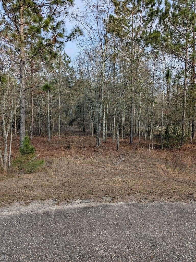 1 Acre of Residential Land for Sale in Sylvester, Georgia