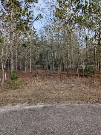 1 Acre of Residential Land for Sale in Sylvester, Georgia