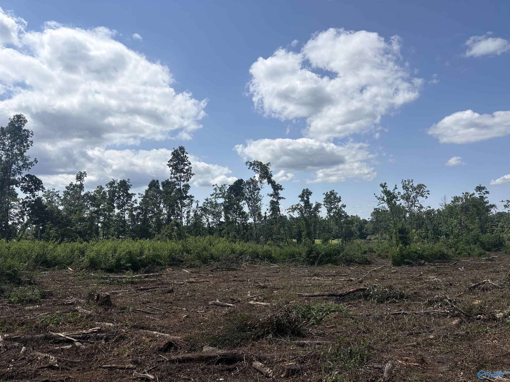 5 Acres of Land for Sale in Henagar, Alabama