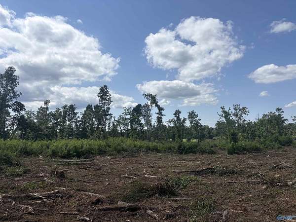 5 Acres of Land for Sale in Henagar, Alabama
