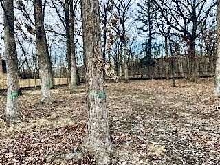 0.38 Acres of Residential Land for Sale in Glencoe, Illinois