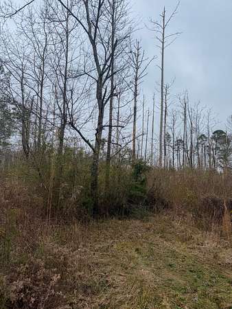 3.7 Acres of Residential Land for Sale in Braxton, Mississippi
