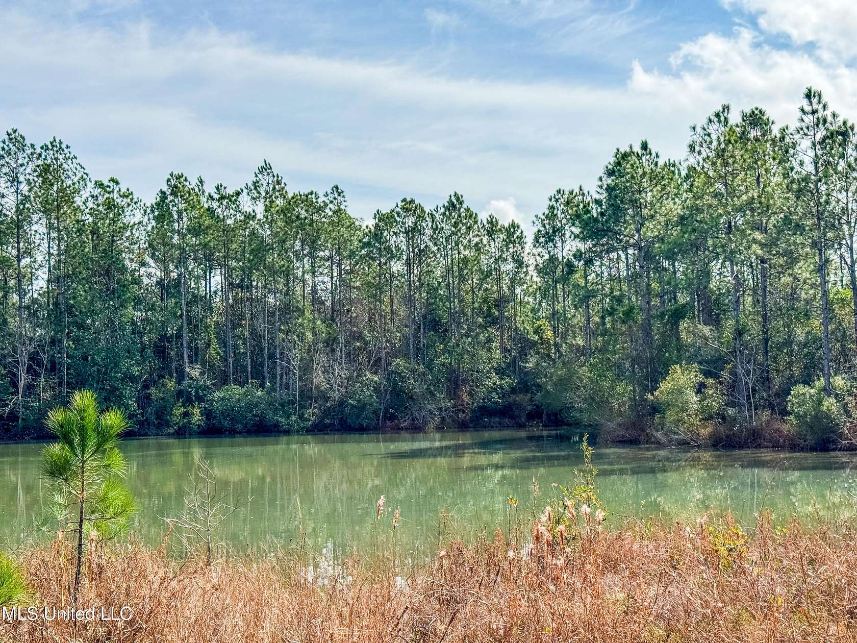 2.4 Acres of Residential Land for Sale in Ocean Springs, Mississippi