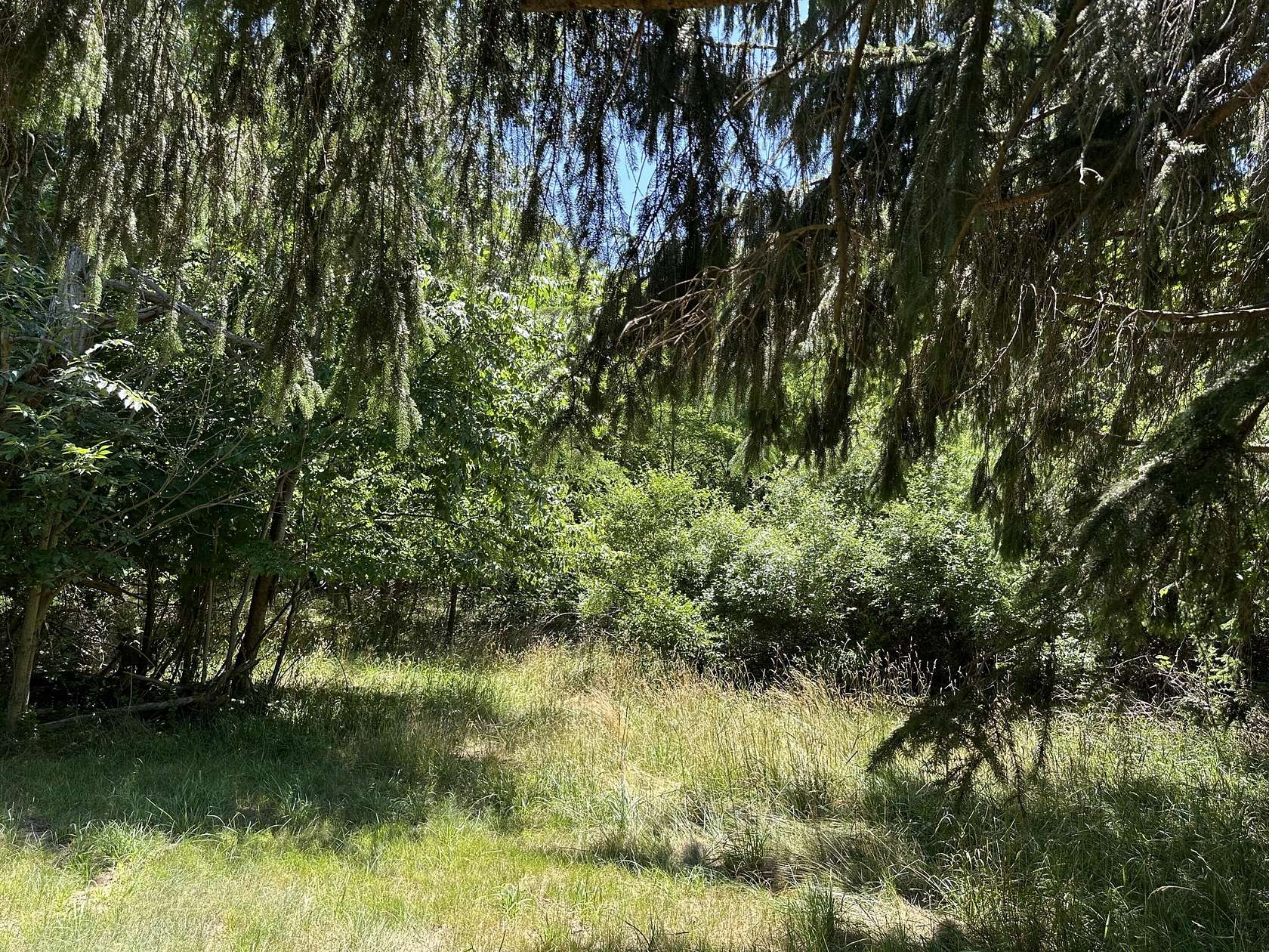 2.56 Acres of Land for Sale in South Haven, Michigan