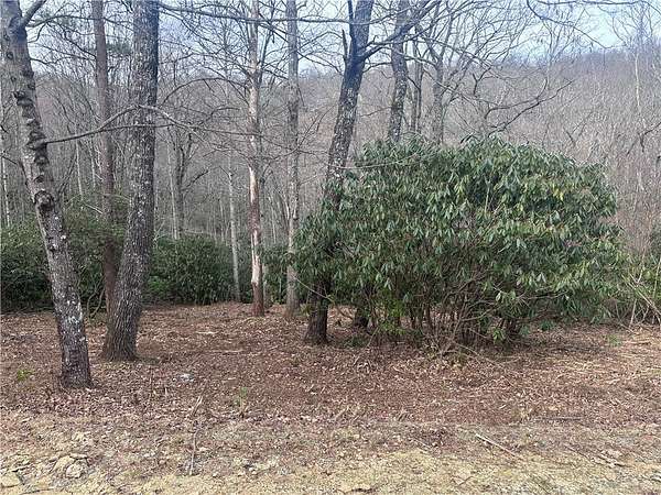 0.95 Acres of Residential Land for Sale in Landrum, South Carolina