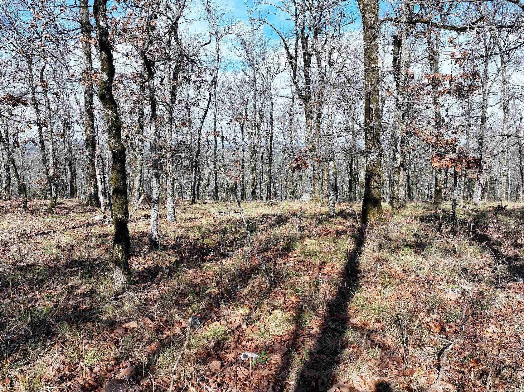 5 Acres of Residential Land for Sale in Bismarck, Arkansas