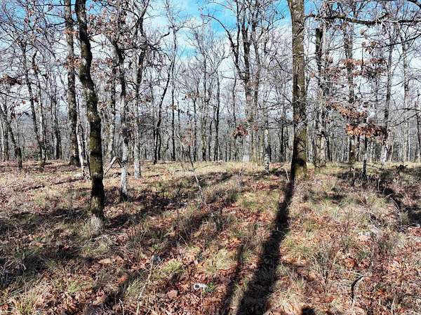 5 Acres of Residential Land for Sale in Bismarck, Arkansas