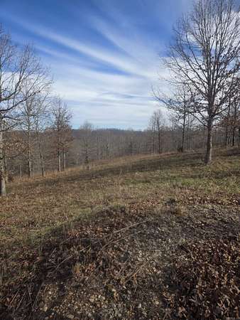3.4 Acres of Land for Sale in Mountain View, Arkansas