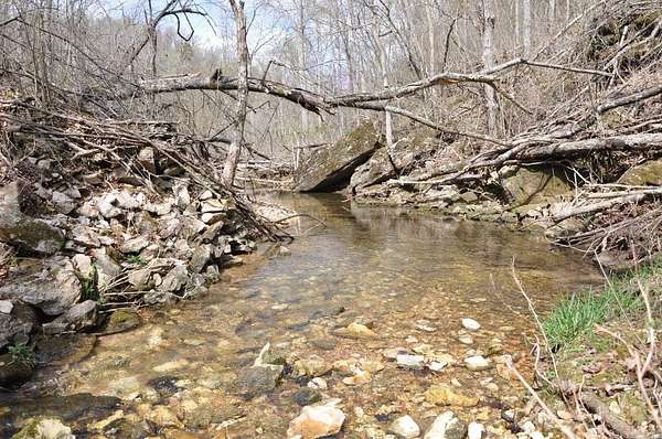 41.7 Acres of Land for Sale in Yellville, Arkansas