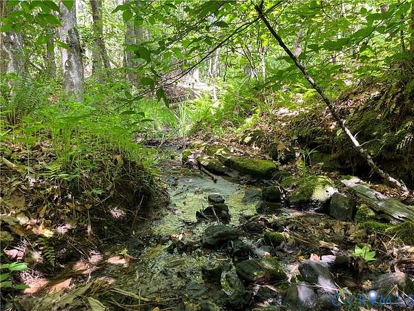 95.8 Acres of Recreational Land for Sale in Goochland, Virginia
