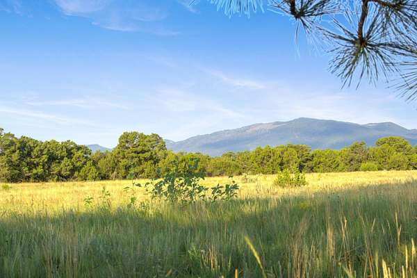 145 Acres of Recreational Land for Sale in Torreon, New Mexico