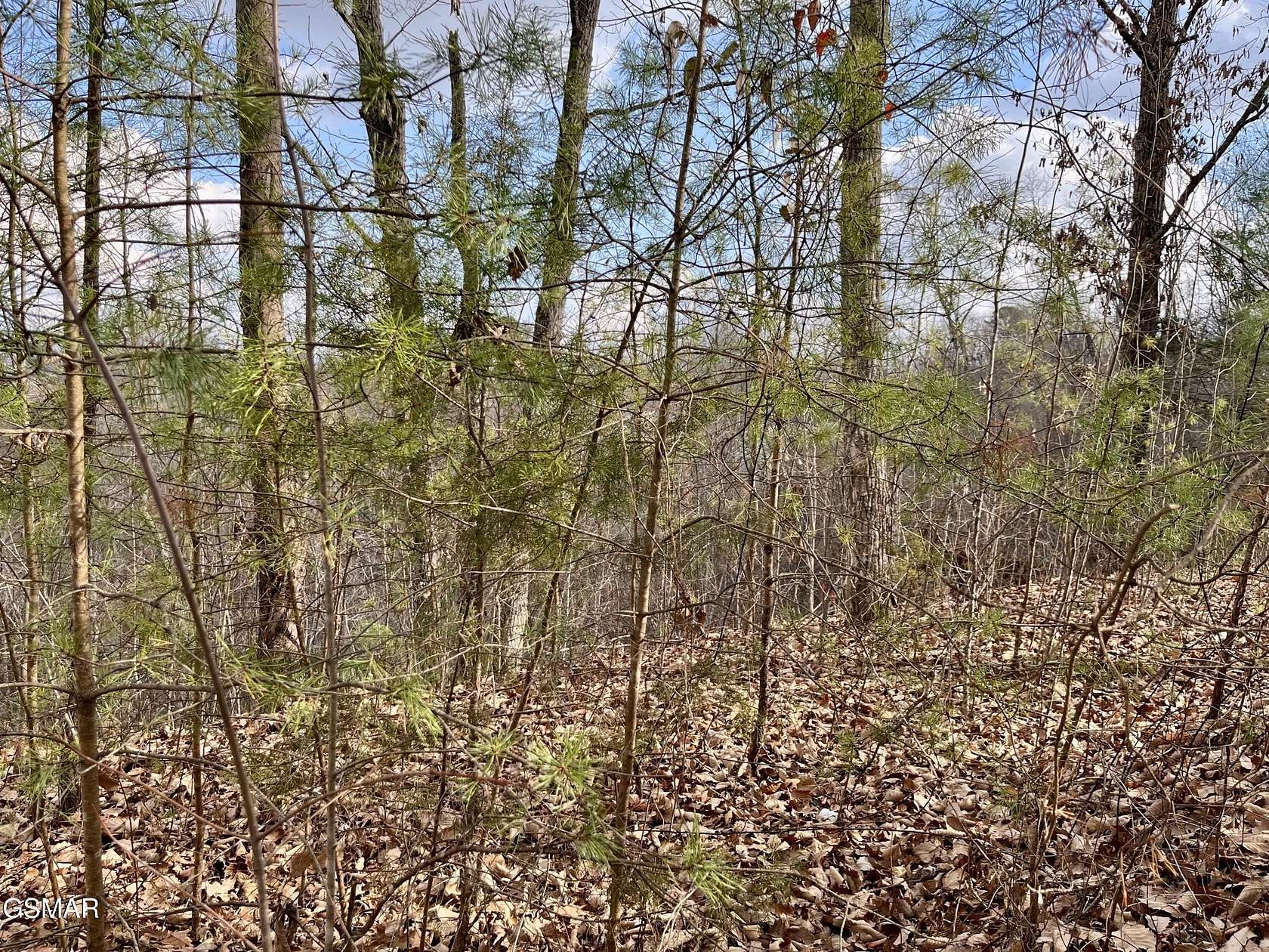 1.15 Acres of Land for Sale in Sevierville, Tennessee