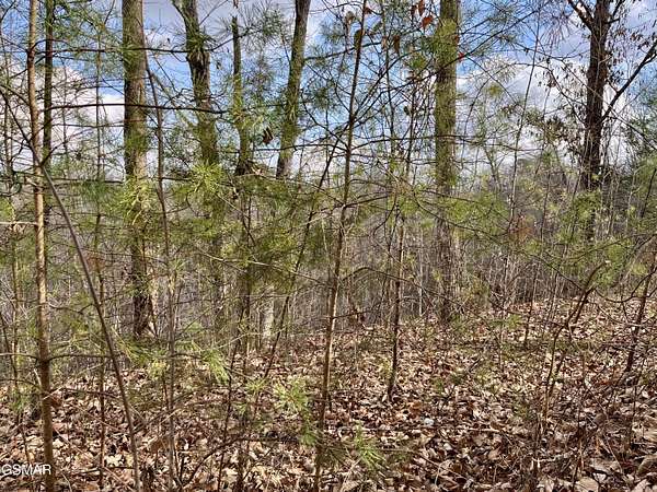 1.15 Acres of Land for Sale in Sevierville, Tennessee
