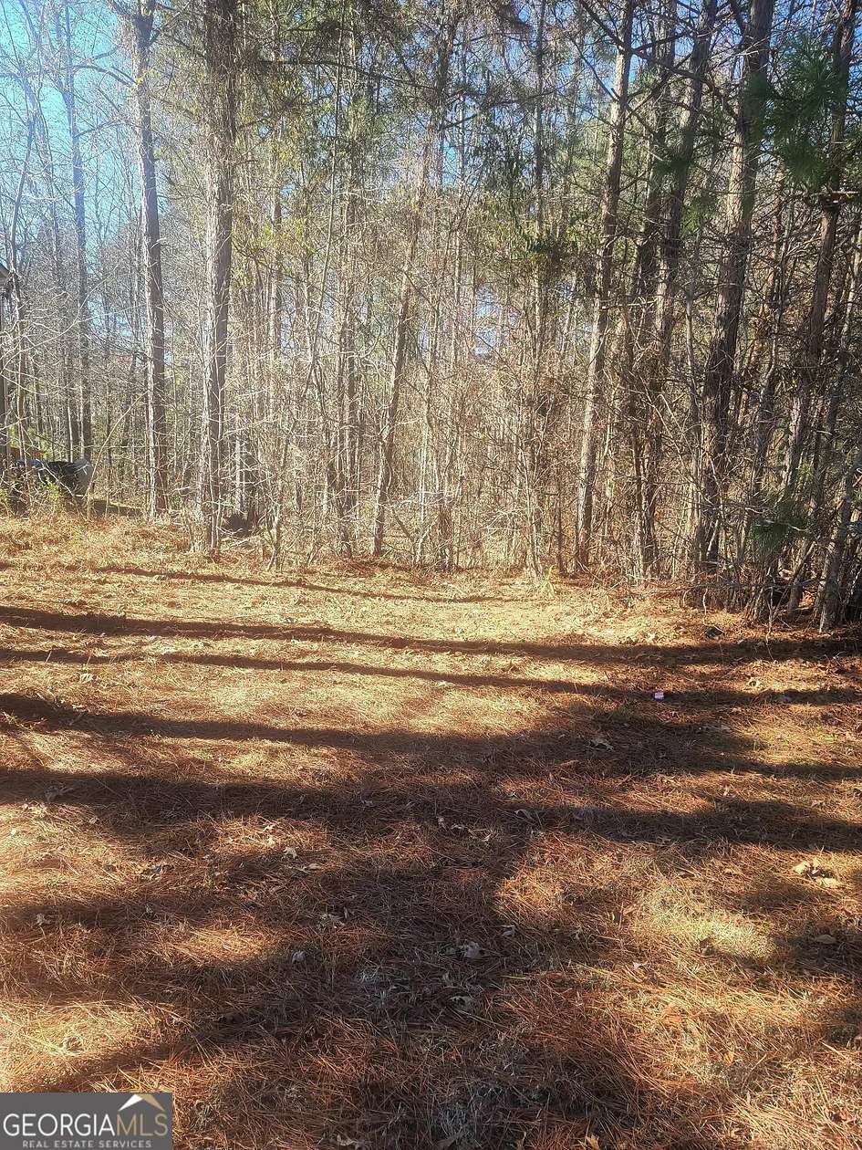 0.5 Acres of Residential Land for Sale in Hampton, Georgia