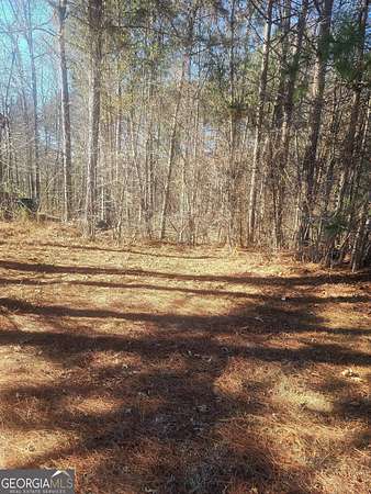 0.5 Acres of Residential Land for Sale in Hampton, Georgia