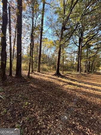 11.3 Acres of Recreational Land for Sale in Madison, Georgia