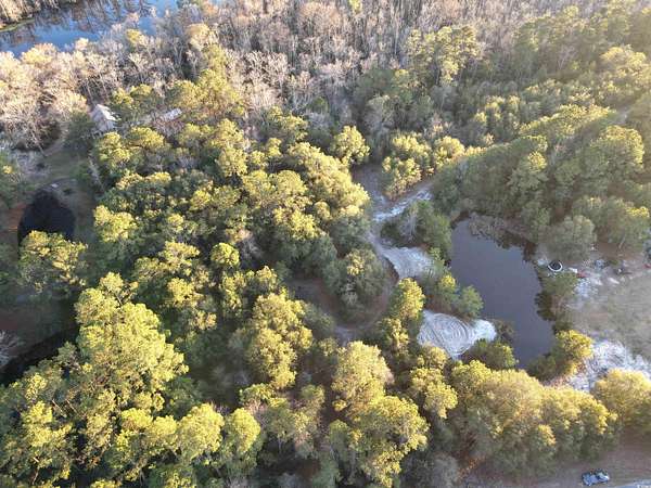 20 Acres of Recreational & Residential Land for Sale in Georgetown, South Carolina