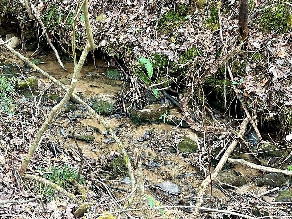 12 Acres of Land for Sale in Ellijay, Georgia