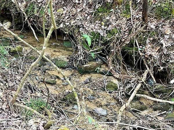 12 Acres of Land for Sale in Ellijay, Georgia