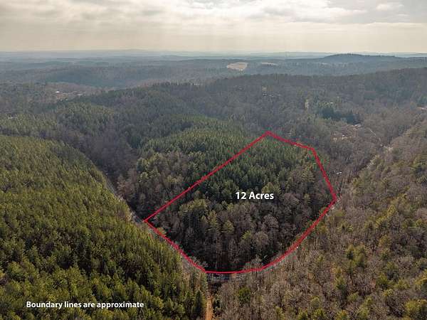 12 Acres of Land for Sale in Ellijay, Georgia