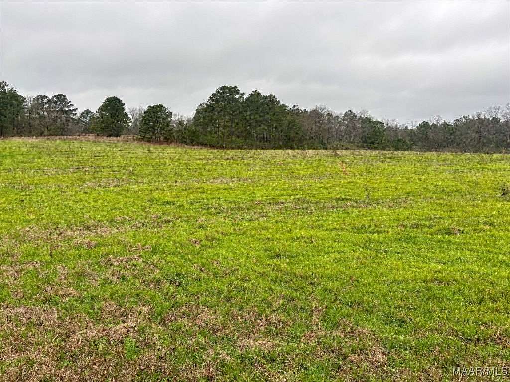 15 Acres of Land for Sale in Clanton, Alabama