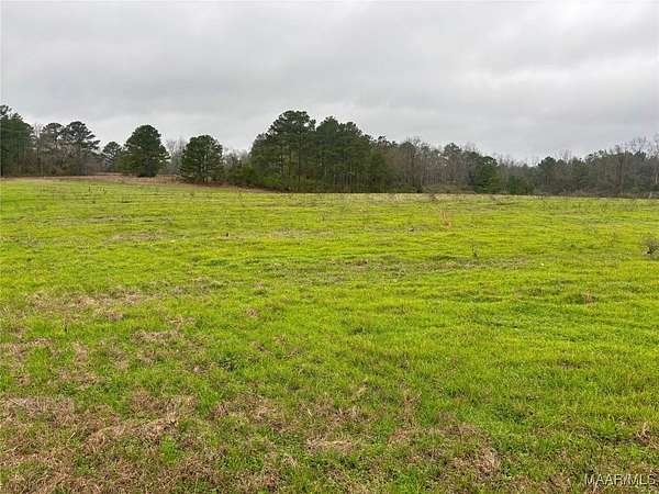 15 Acres of Land for Sale in Clanton, Alabama
