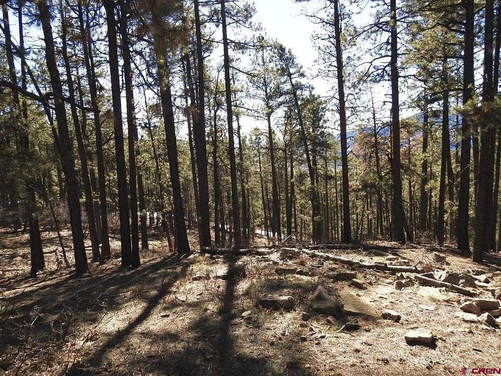 1 Acre of Residential Land for Sale in Bayfield, Colorado