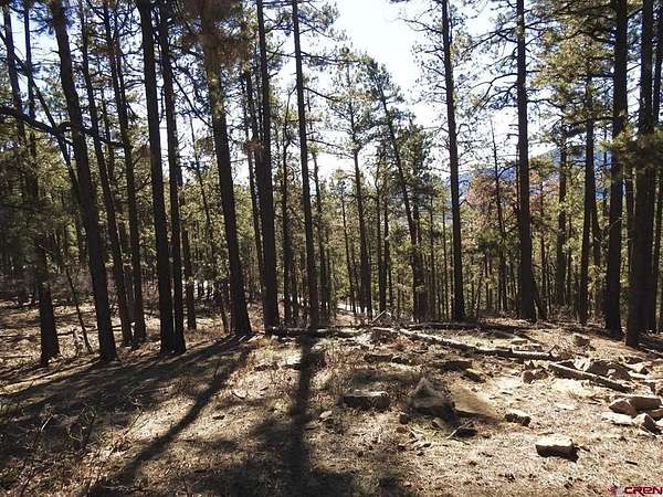 1 Acre of Residential Land for Sale in Bayfield, Colorado