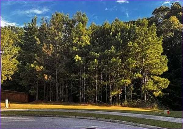 0.31 Acres of Residential Land for Sale in Lithonia, Georgia