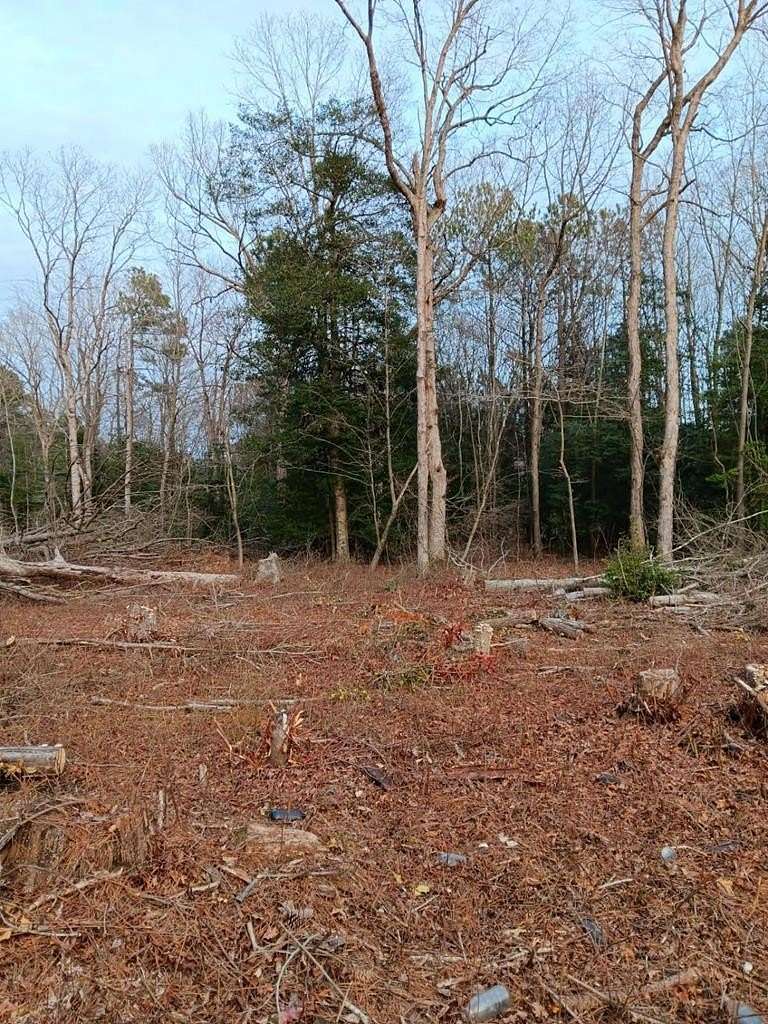 1 Acre of Residential Land for Sale in Bloxom, Virginia