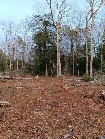 1 Acre of Residential Land for Sale in Bloxom, Virginia