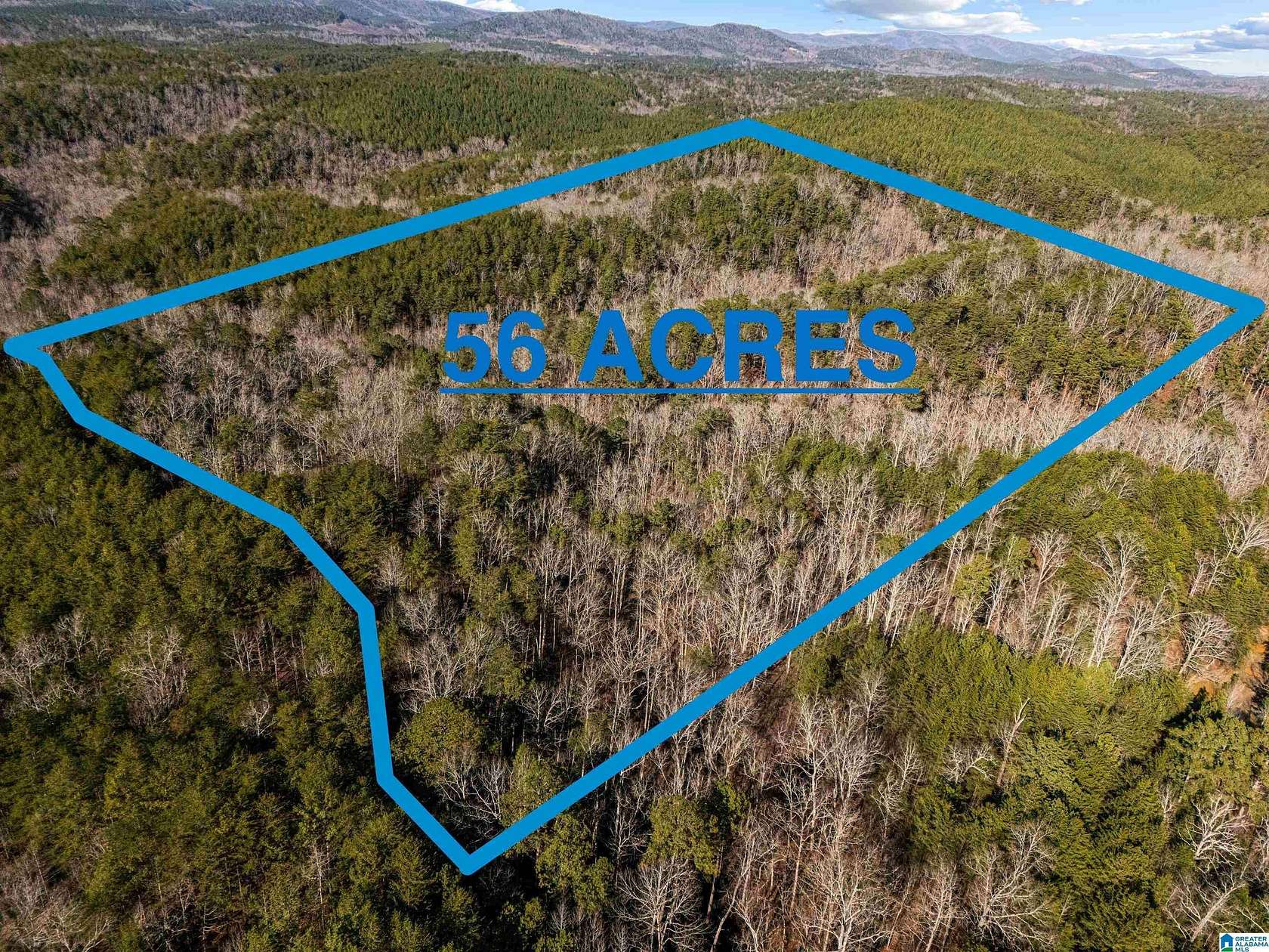 56 Acres of Recreational Land for Sale in Piedmont, Alabama