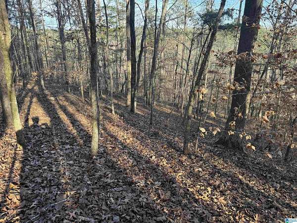 56 Acres of Recreational Land for Sale in Piedmont, Alabama