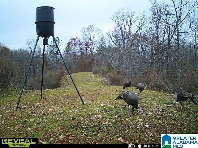 234 Acres of Land for Sale in Sylacauga, Alabama