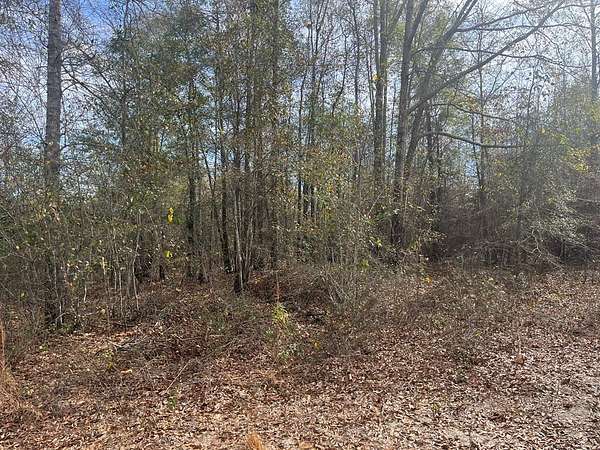 20 Acres of Recreational Land for Sale in Abbeville, Alabama