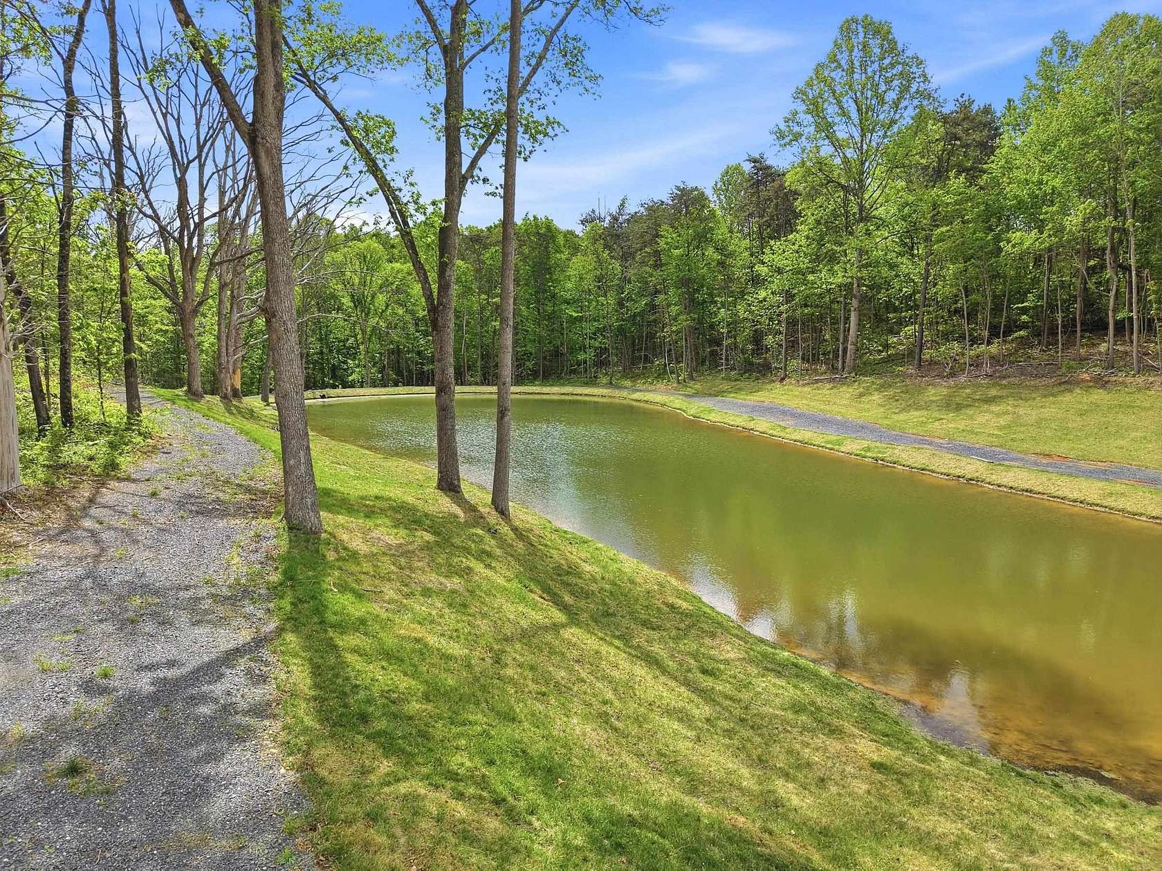 43.3 Acres of Recreational & Residential Land for Sale in Edinburg, Virginia