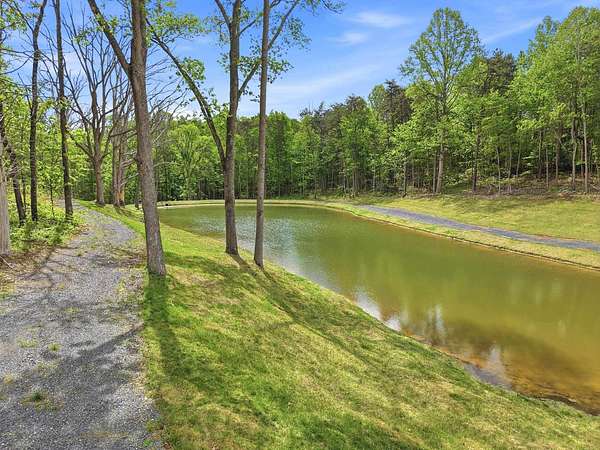 43.3 Acres of Recreational & Residential Land for Sale in Edinburg, Virginia
